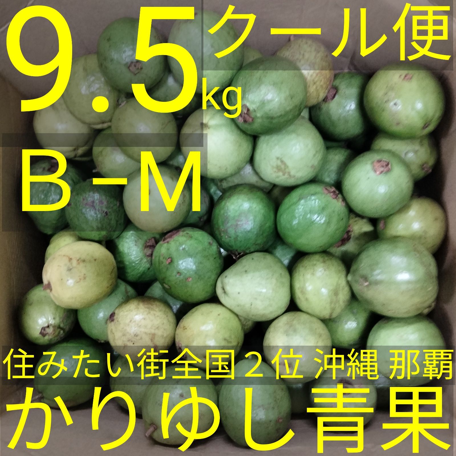 〈20％off〉【業務用】沖縄県産グァバ（赤白混合）Ｂ品Ｍサイズ約9.5kg【クール便無料】