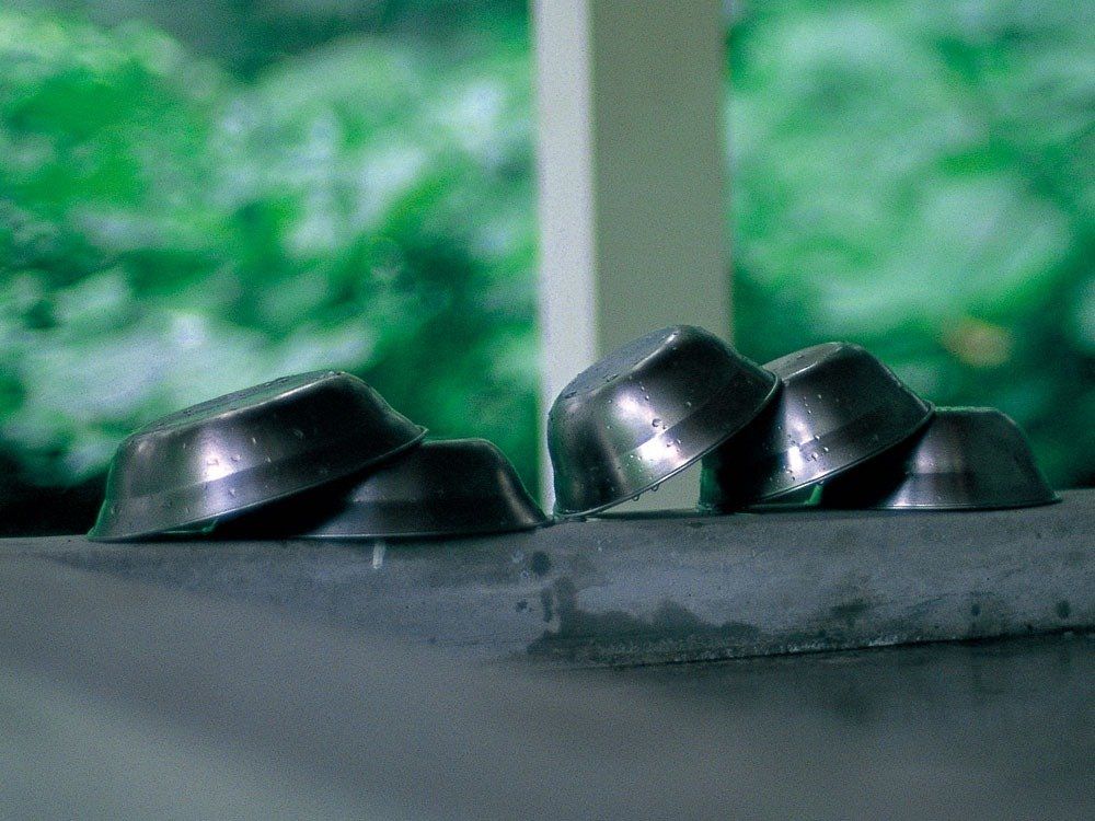 安心の全品国内発送！ スノーピーク snow peak テーブルウェアーセット L ファミリー TW-021F 径212×18mm ファミリー 平民の価格、数量限定！