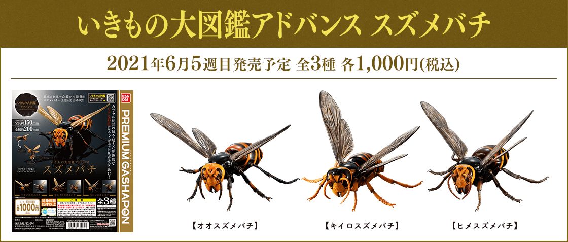 BANDAI☆PREMIUM GASHAPON☆いきもの大図鑑アドバンス
