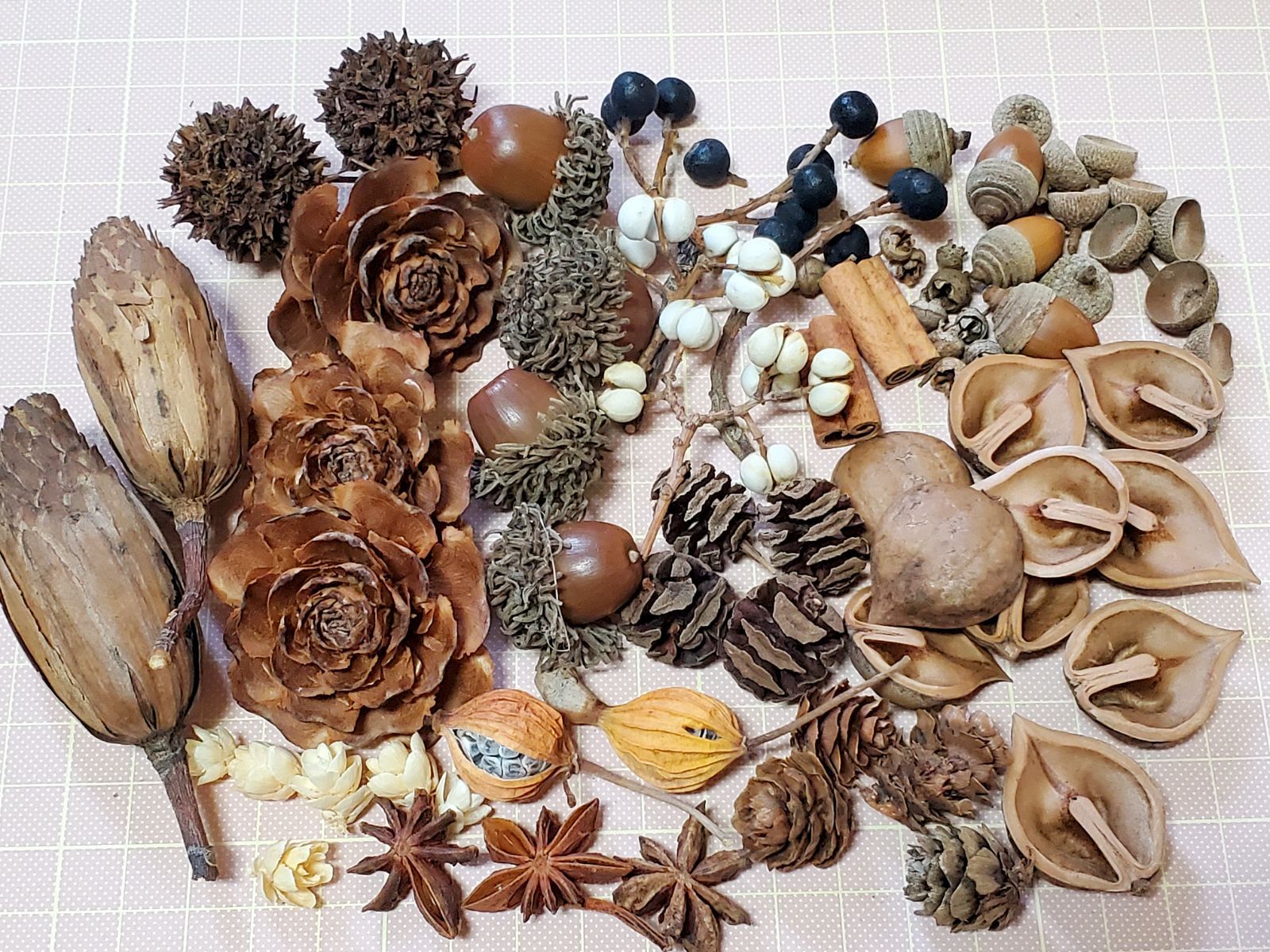 ONE PIECE 大海賊百景　複製原画 ONE PIECE』額装高精細複製原画 （週刊少年ジャンプ2021年