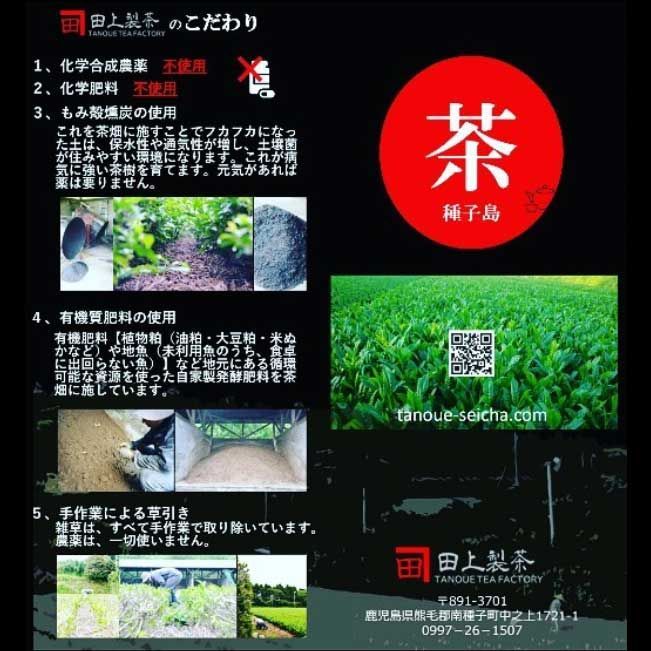 有機煎茶(極、誉)2袋セット｜田上製茶 - 酒