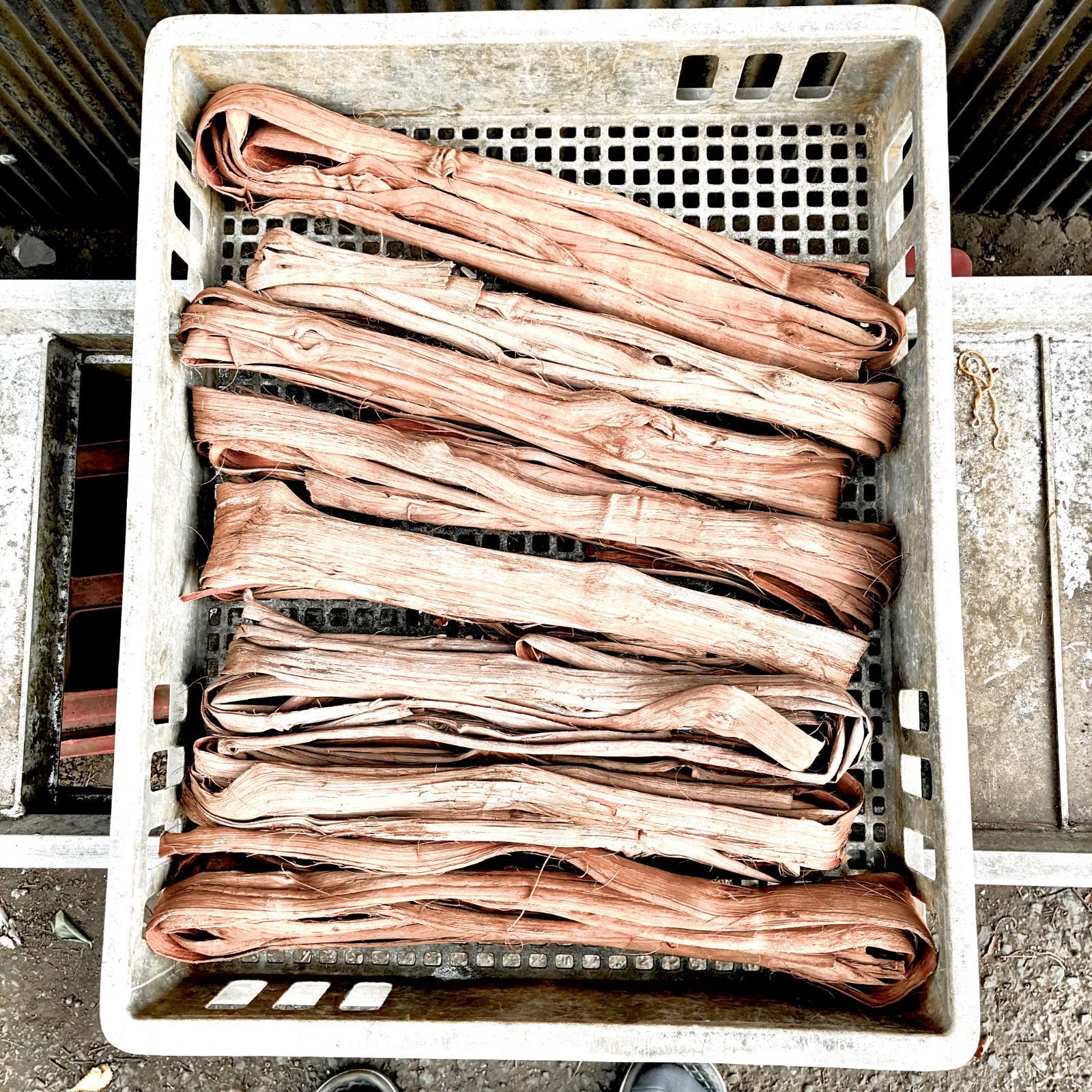 商品番号②【長野県産】国産山葡萄の蔓 約1.1kg（原皮ランクA）