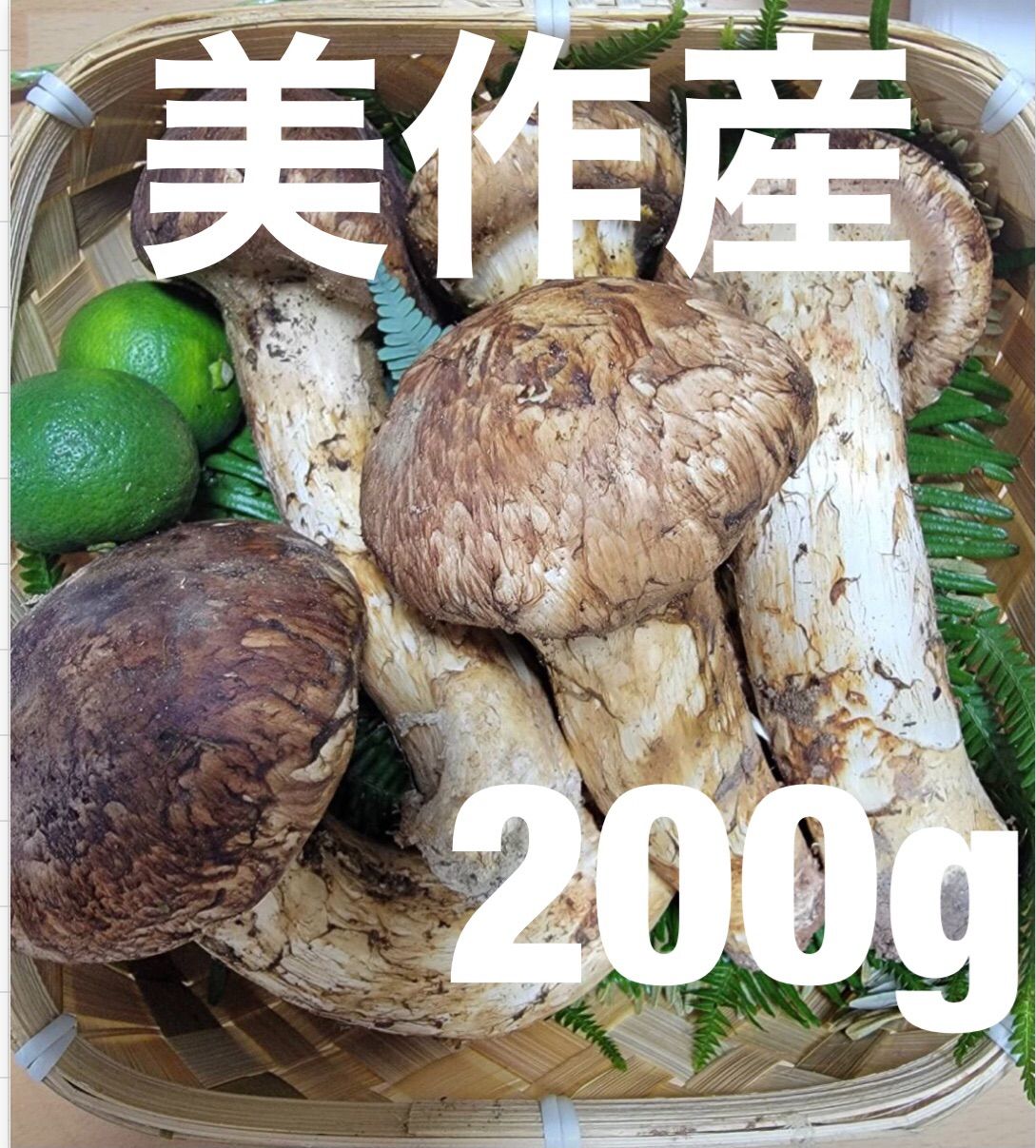 色々な 美作産つぼみ松茸200g - 野菜