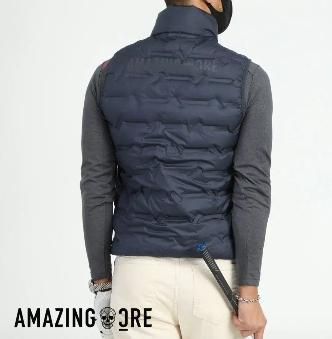 ハイブリッド ディター