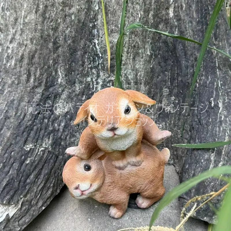 2匹 ウサギ
