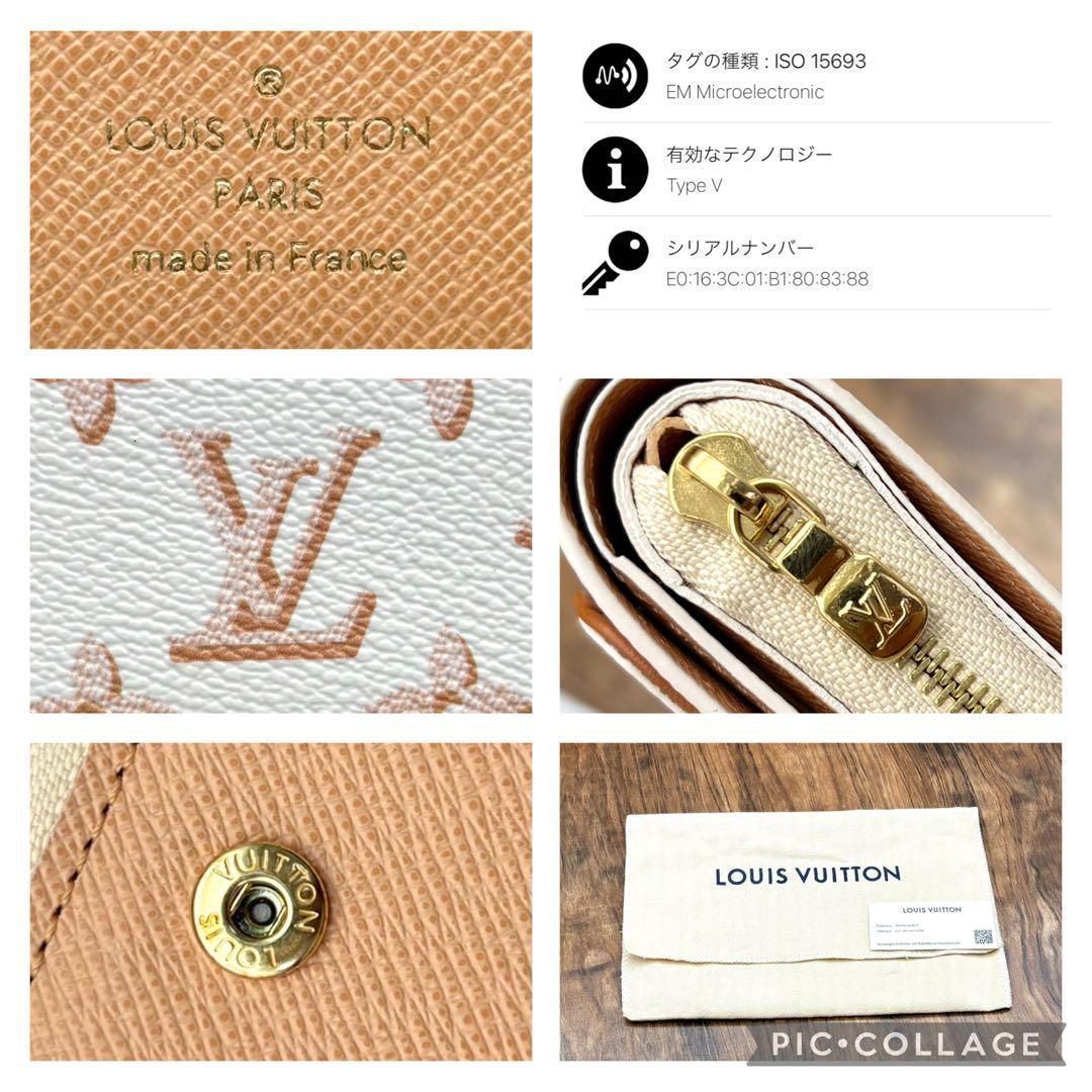⛄️新品同様⛄️超レア品ルイヴィトンモノグラムデュンヌ