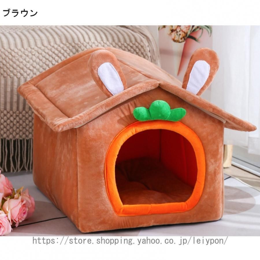 小型犬