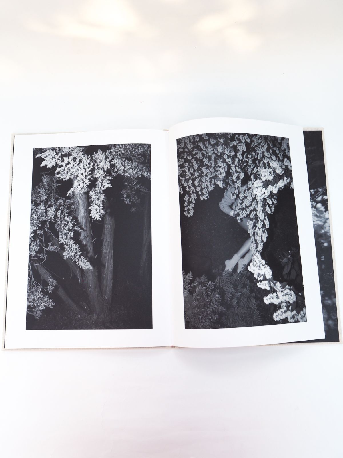美品❗️Viviane Sassen SOL & LUNA 初版で貴重なサイン入り SOL & LUNA - BOOK AND SONS オンラインストア