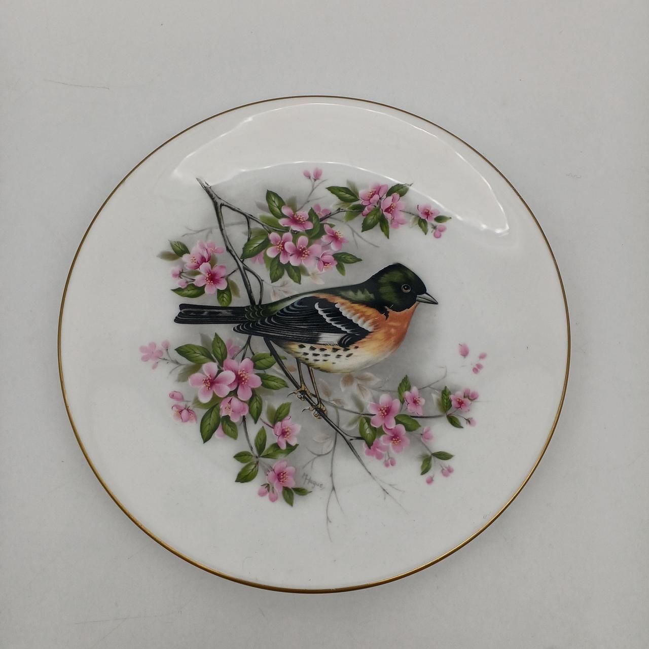 ROYAL WORCESTER 鳥絵皿【ROYAL WORCESTER Bird-painted Plate