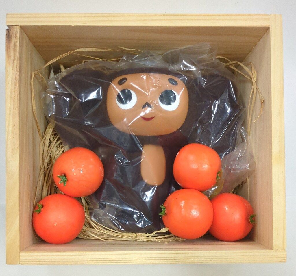 CHEBURASHKA ぬいぐるみ 木箱入り (箱あり) SPRING HOUSE (木箱入ぬいぐるみ) CHEBURASHKA - メルカリ