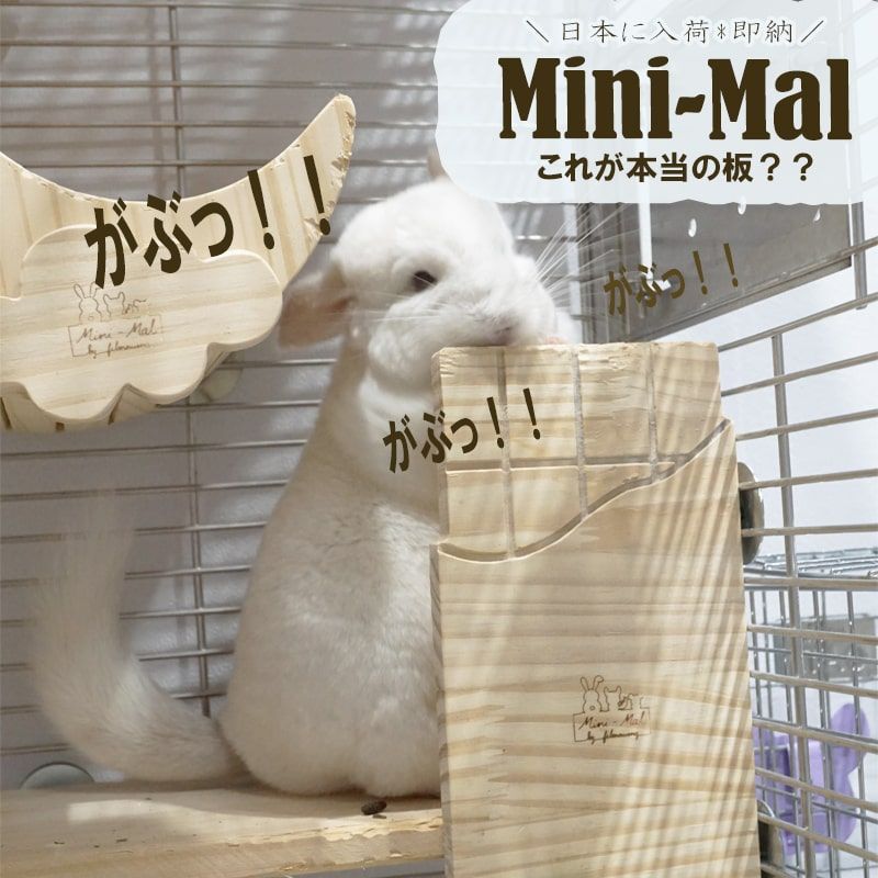 専用ページ あああああああああ - minimini - あにまる - - メルカリ