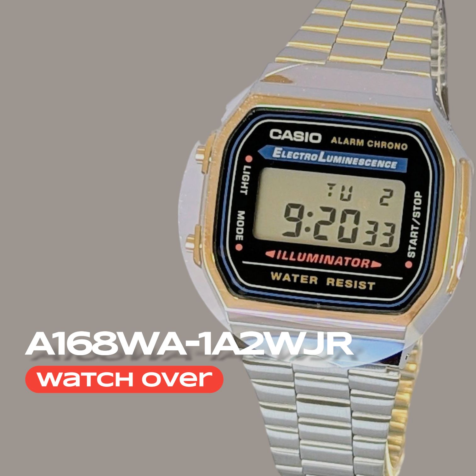 ラスト① 以後入荷なし【A168WA-1A2WJR】a168wa 国内正規品 ELバック 