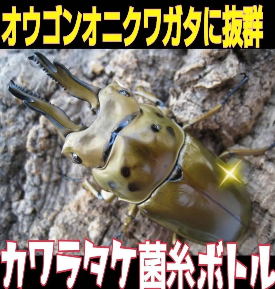 トレハロース強化配合
