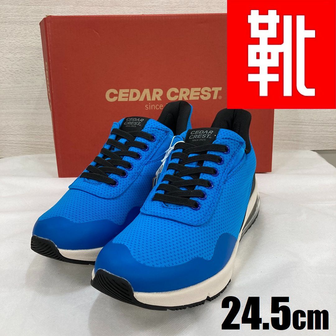 M-231 kutsu.com公式 CEDAR CREST スパットシューズ  CC-50750　【EC限定カラー】ブルー　24.5cm