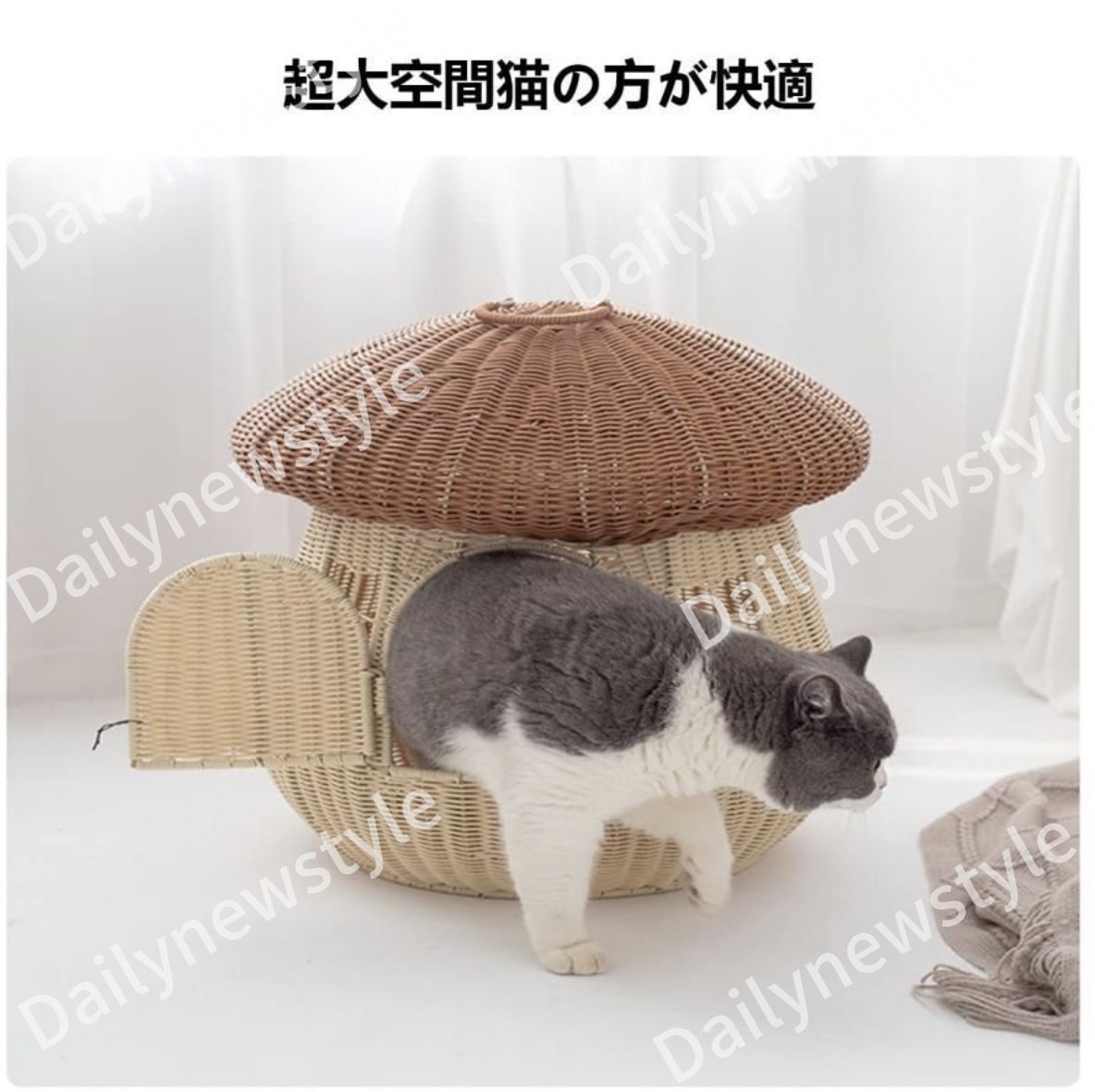 快適 小中型