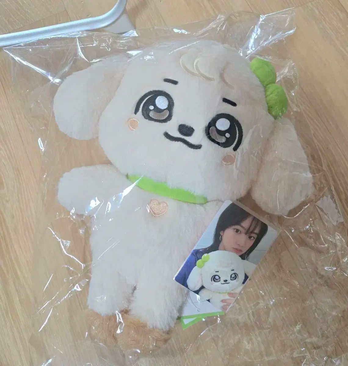 IVE ユジン　MINIVE GANGANJI まとめ売り Amazon.co.jp: IVE MINiVE ポップアップ ぬいぐるみ GANGANJI ユジン