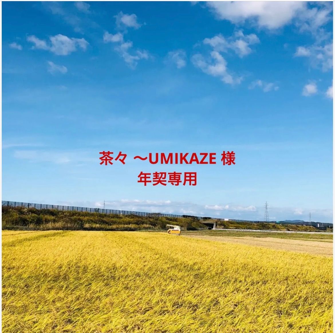 【 茶々 〜UMIKAZE 様年契専用】令和５年度新米コシヒカリ精米20Kg