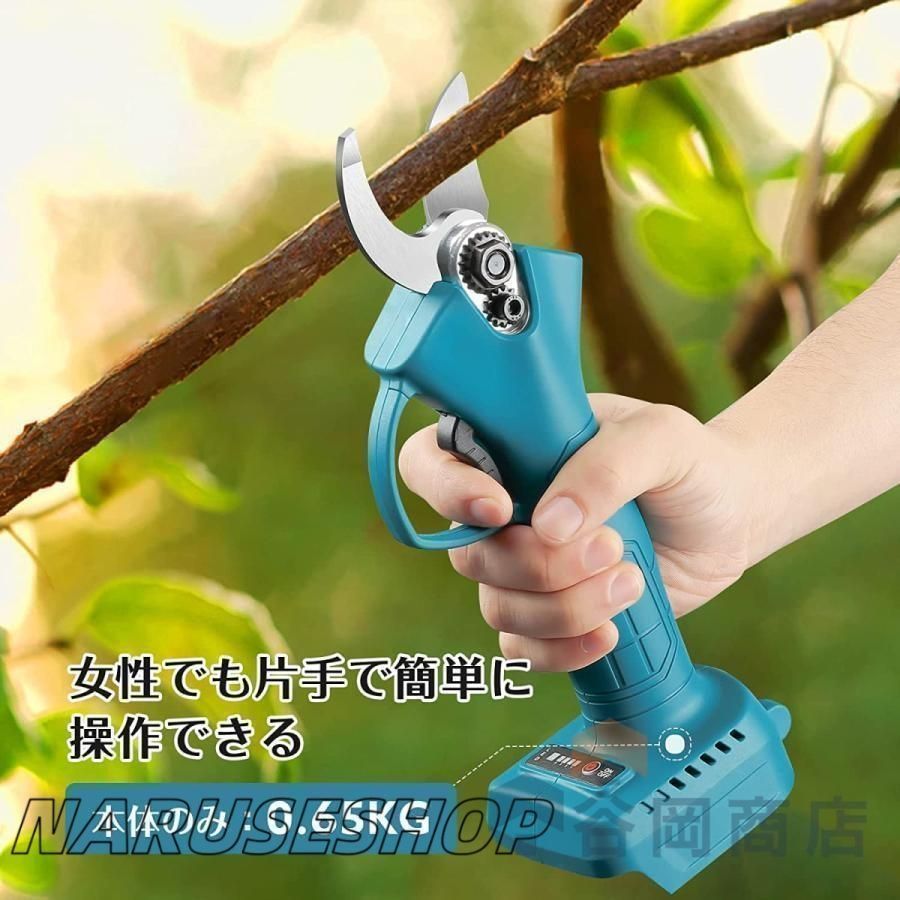 剪定ばさみ