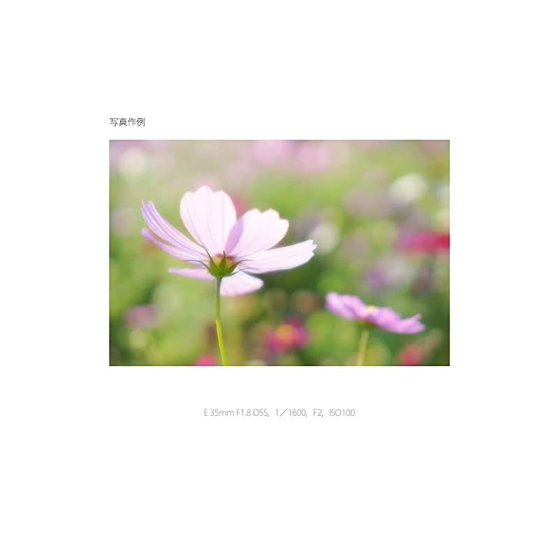 SONY 単焦点レンズ
