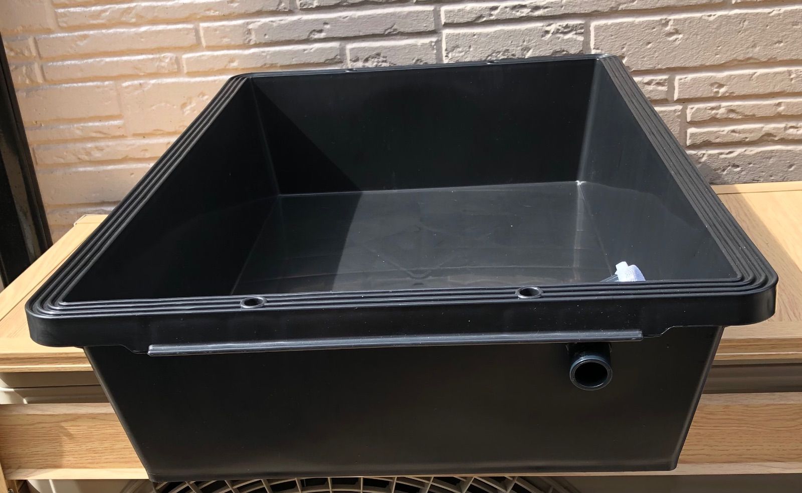 めだかケース・棚・めだか約50種類