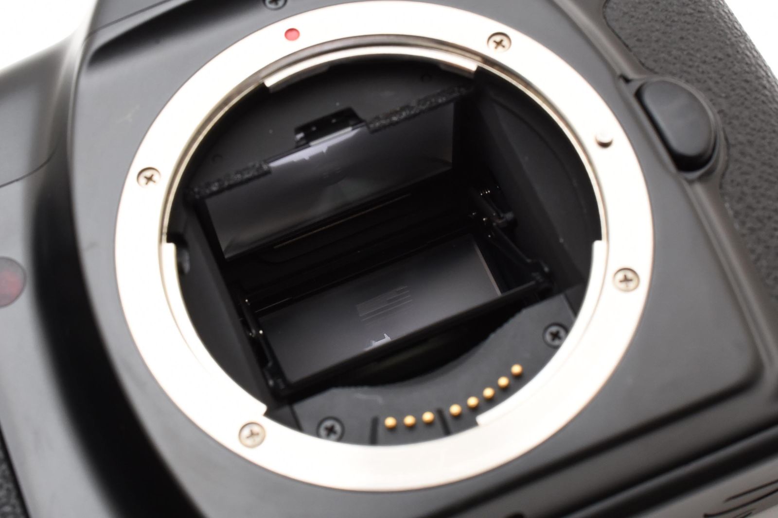 超美品 Canon EOS-1 フィルムカメラ入門おすすめ キャノン #8617 超美品 Canon EOS-1 フィルムカメラ入門おすすめ キャノン #8617
