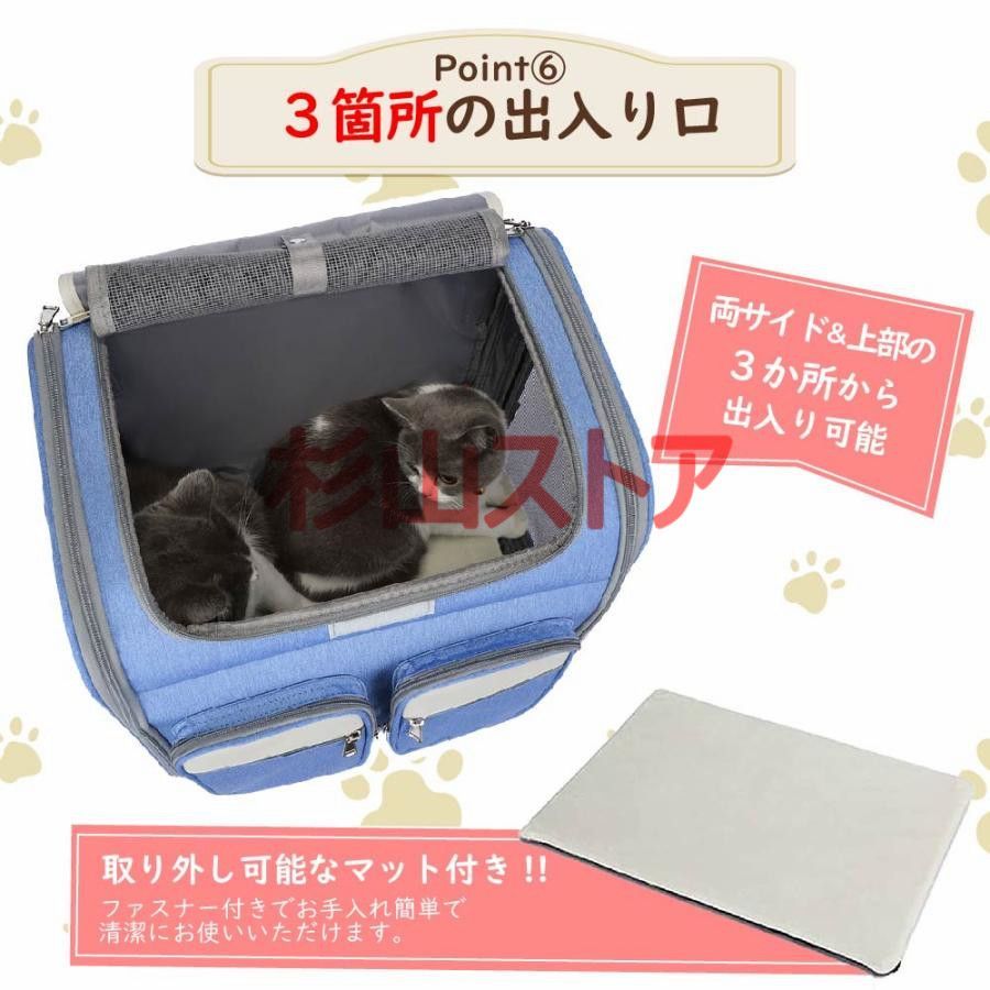 小型犬 ペット