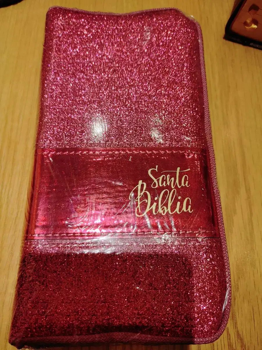 Santa Biblia reina ビブリア レイナ スペイン語 願書 約聖書