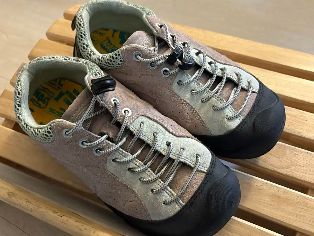 キーン ジャスパー ロックス ピンク 255