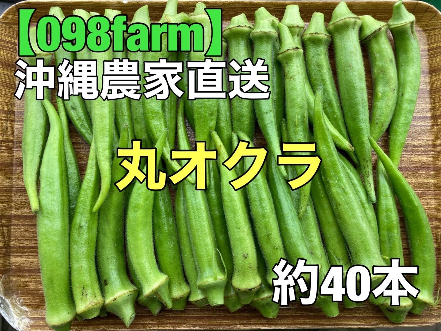 メルカリshops 今年初物 沖縄産 丸オクラ 40本 採れたて無農薬 メルカリshops 今年初物 沖縄産 丸オクラ 40本 採れたて無農薬