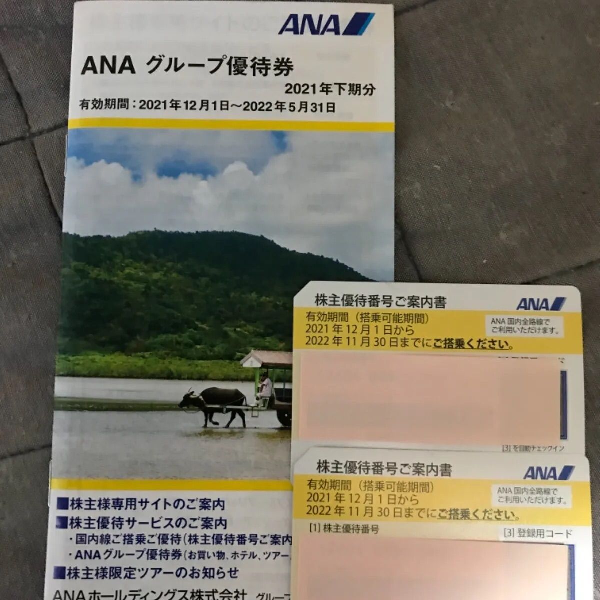 100％の買戻し率 ANA株主優待 2枚 冊子 2冊 | www.takalamtech.com