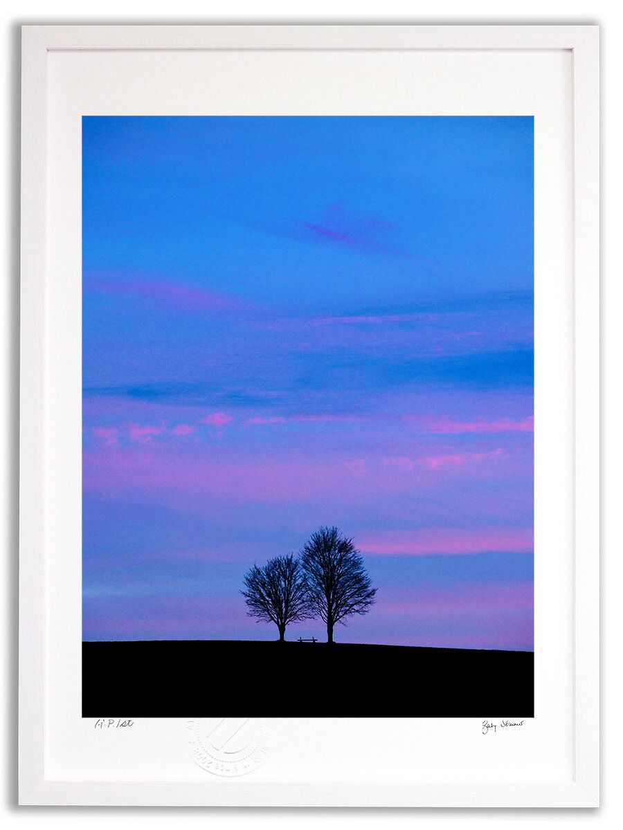 アートフォト 絵画 壁掛け ピンクの夢 Pink Dream 2013 |インテリア 壁掛け 額入り 額装込 風景画 油絵 ポスター アート アートパネル リビング 玄関 プレゼント モダン アートフレーム おしゃれ 飾る Mサイズ