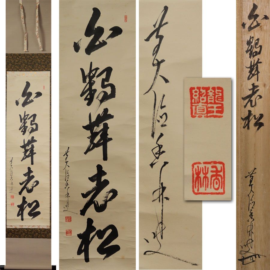 源・M》大徳寺 大橋香林筆 茶掛け一行書「白鶴舞老松」/共箱