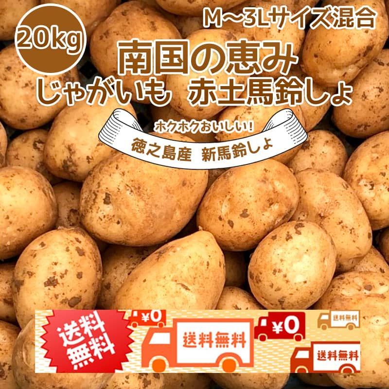 じゃがいも 20kg M~3Lサイズ混合