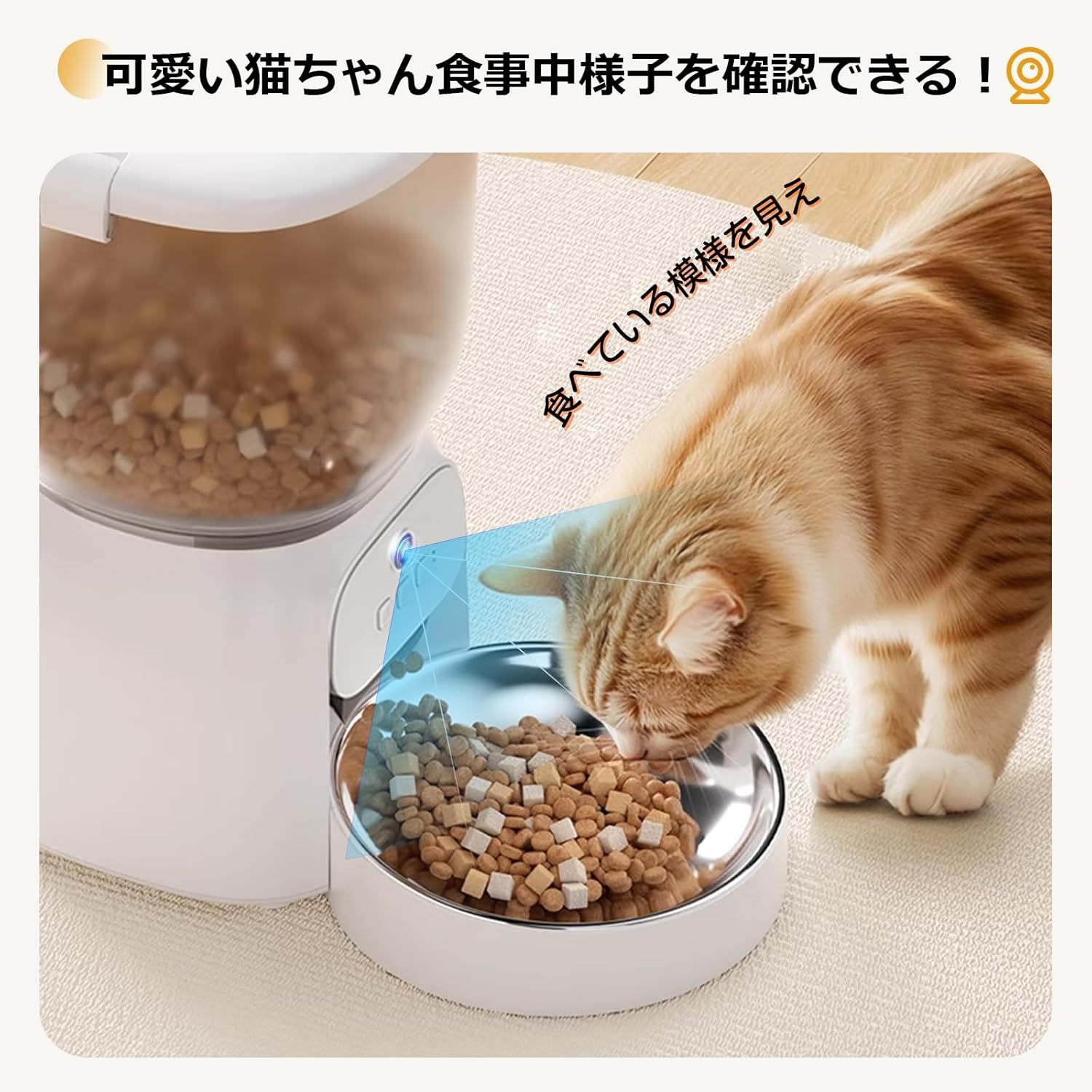 停電対策 ステンレス皿