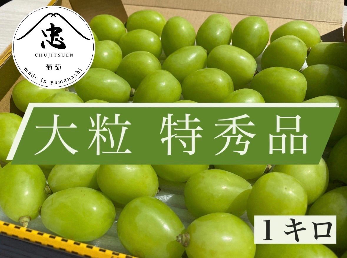 特秀品大粒シャインマスカット 3キロ 摘み落とし 高級品種
