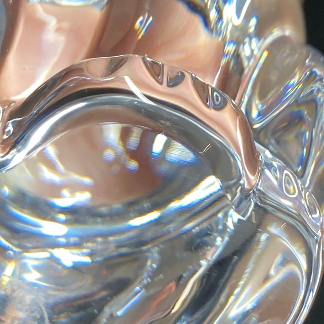 トコヒ 東金6-0228