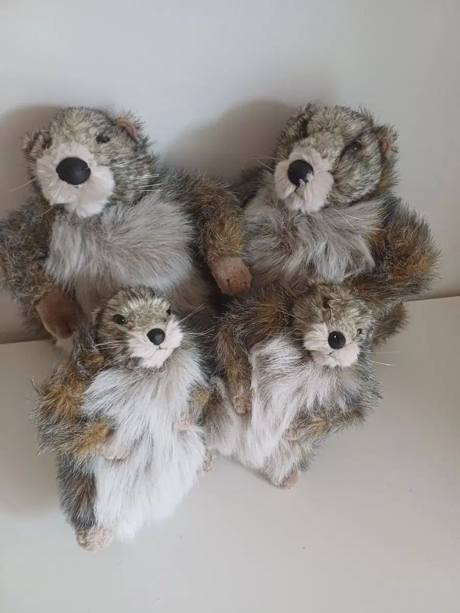 Marmot(マーモット) 人形 マーモット まとめ売り - メルカリ 