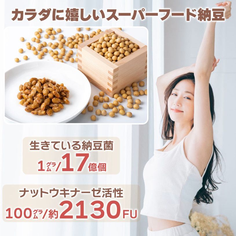【NICHIGA／ニチガ公式】ドライなっとう ＜しょう油味＞ 110g 国産大豆100％使用 DRY NATTO 健康おやつ おつまみ [05]