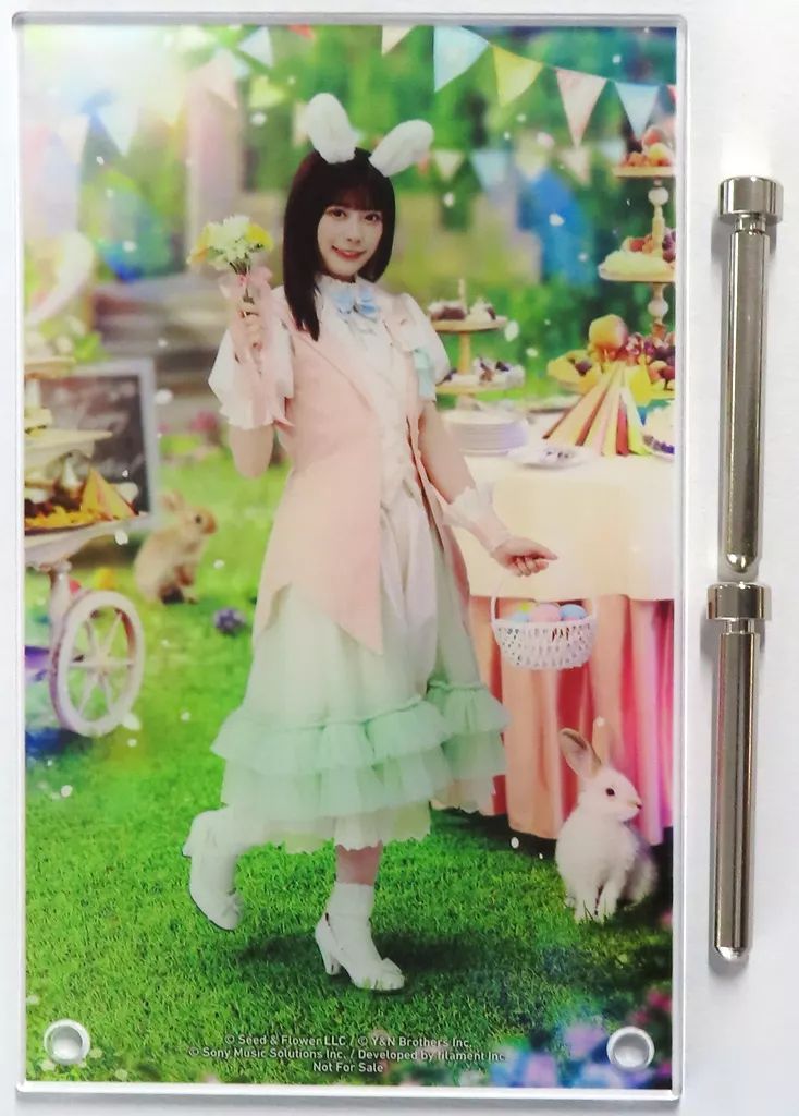 Amazon.co.jp: 【非売品】 ひな図書 東村芽依 アクリルスタンド