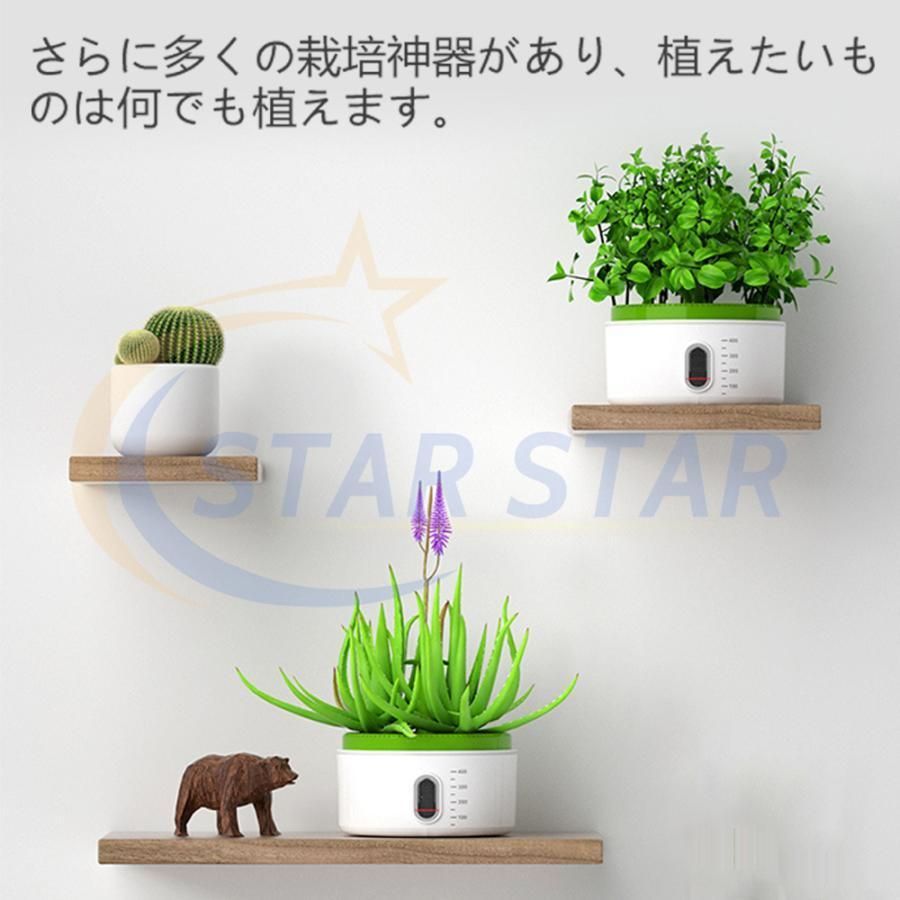 科学実験キット知育玩具おもちゃ植物栽培小屋植物育成室植物発芽実験