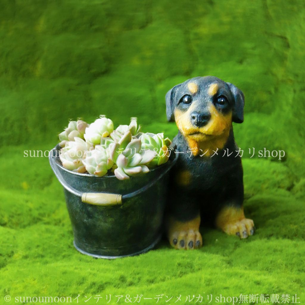 ガーデンインテリア