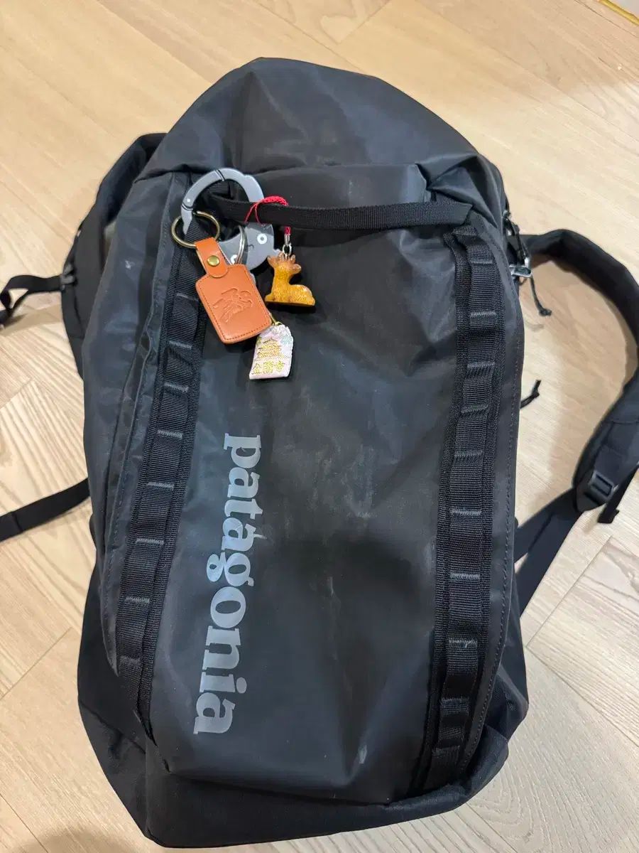 patagonia パタゴニア ブラックホール 32L バックパック 販売