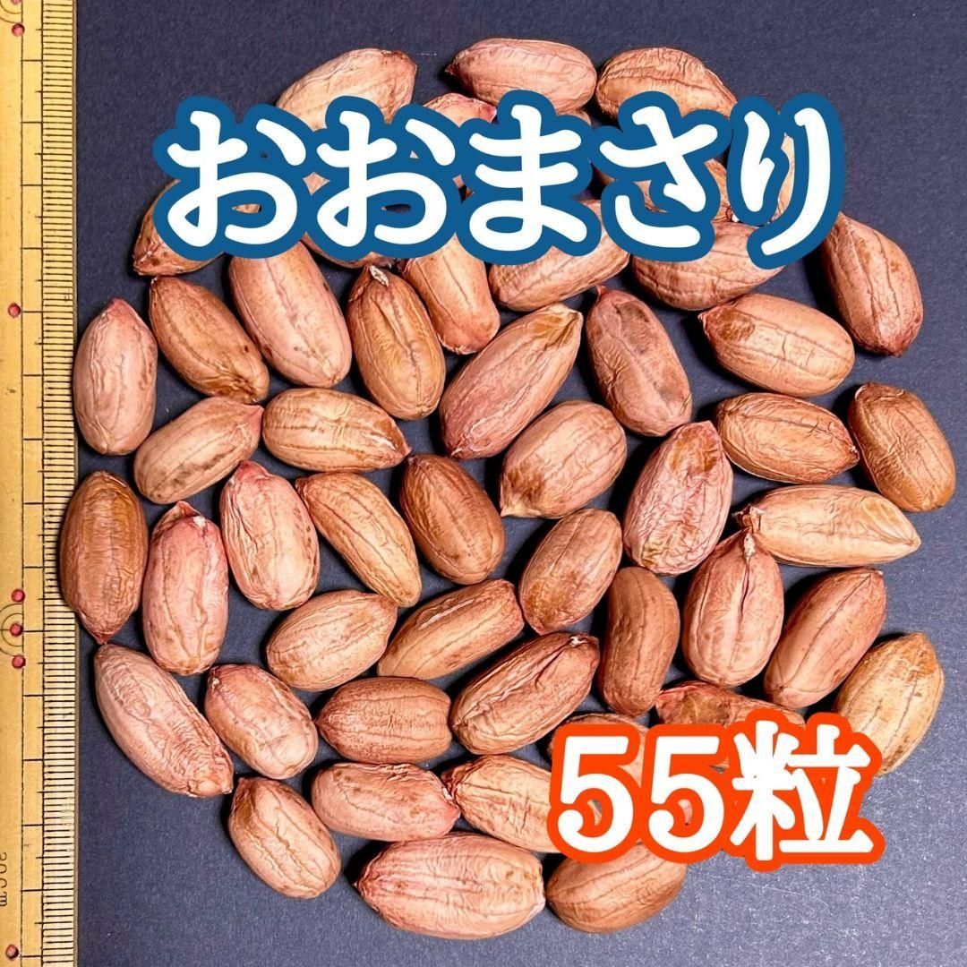 千葉県産 生落花生おおまさりネオ150g - 野菜