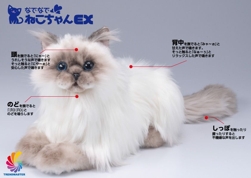 なでなでねこちゃんEX ヒマラヤン 楽天市場】なでなでねこちゃんEX ヒマラヤン 寂しさを埋めて