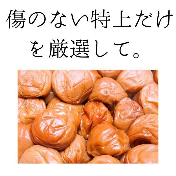 のサムネイル