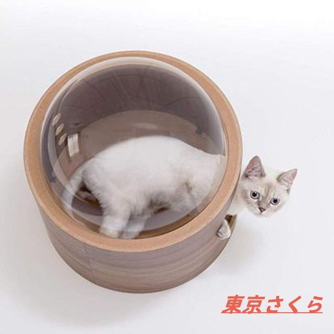 かわいい