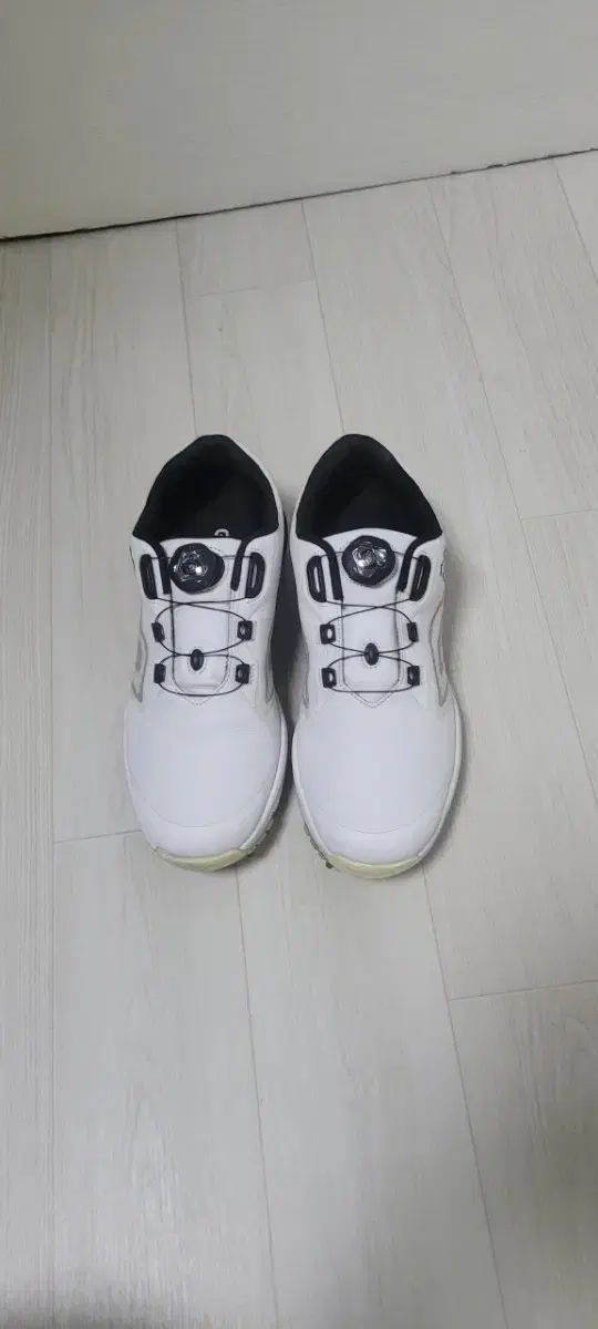 デサント BoA メンズゴルフシューズ 実際に着用 255ミリ