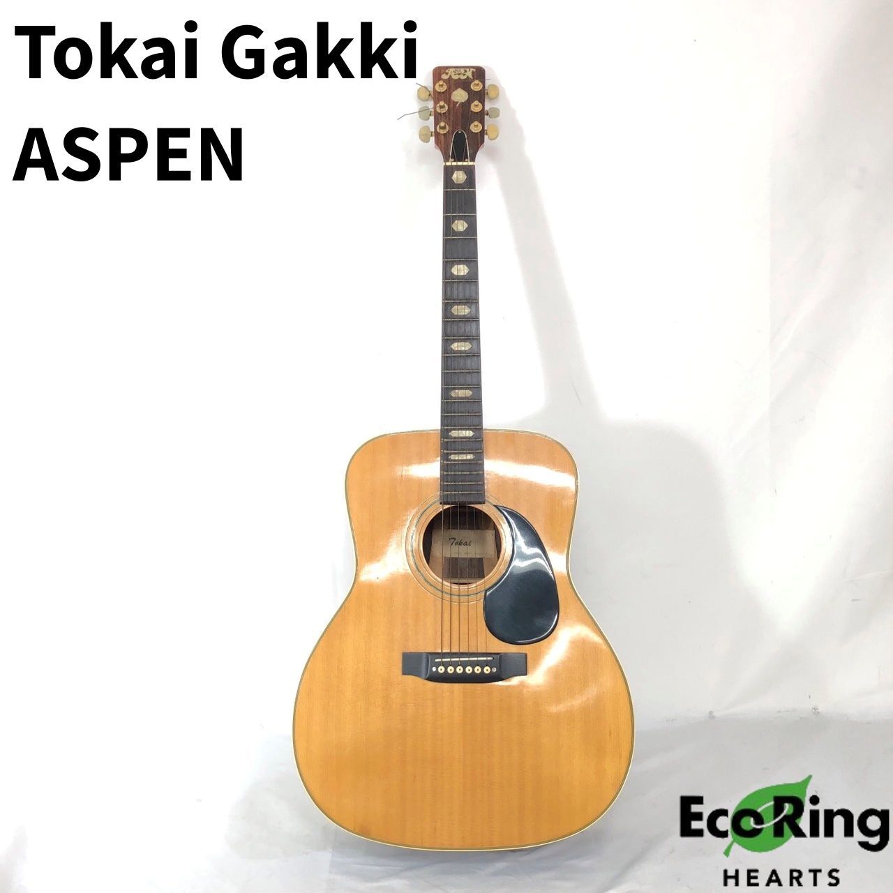 TOKAI GAKKI 東海楽器 アコースティックギター Cat's Eyes CE-250 収納
