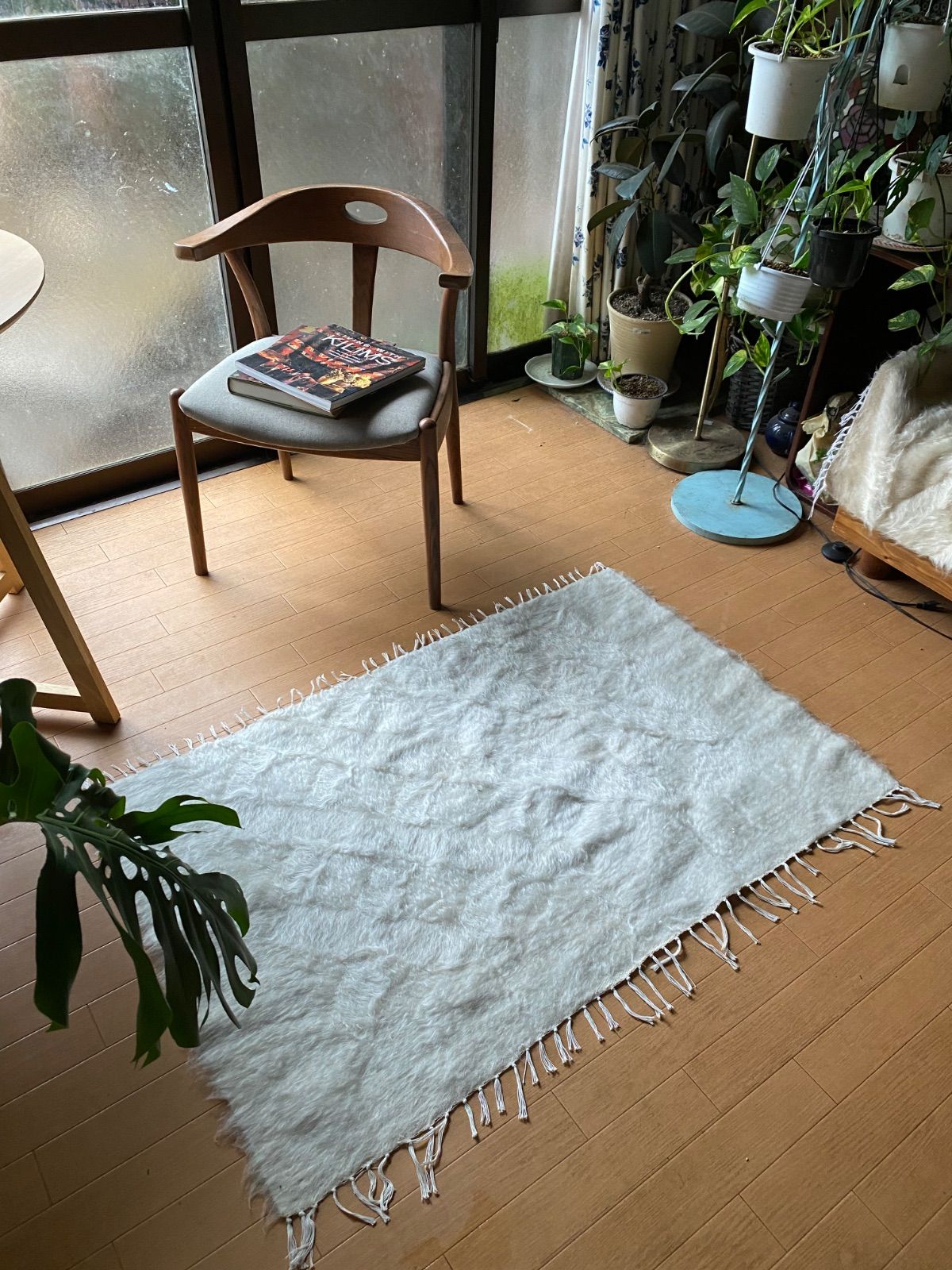 の新しい白ねシイルトバッタニイェ最後の一枚