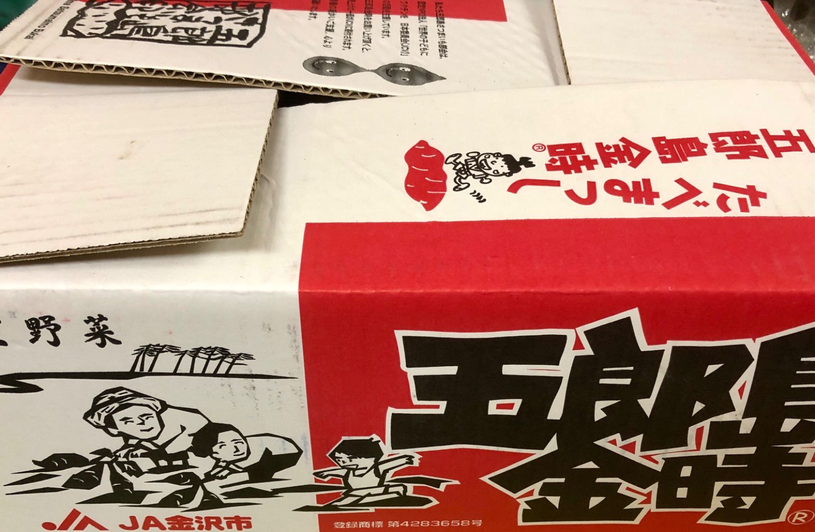 加賀野菜　五郎島金時芋5kg箱　小コロサイズ